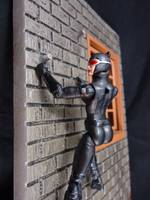 Catwoman (Marvel Universe) Custom Action Figure