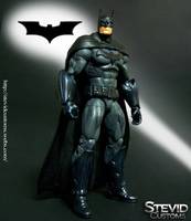 Batman (DC Universe) Custom Action Figure