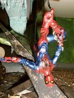 Amazing Spider-Man (Marvel Legends) Custom Action Figure