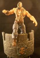 Bane (Batman - Dark Knight Rises) Custom Action Figure