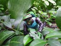 Jungle Joe: Crawler (G.I. Joe) Custom Action Figure