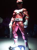 Tyrannosaurus (Red Power Ranger) (Power Rangers) Custom Action Figure