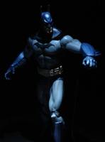 Batman (DC Direct) Custom Action Figure