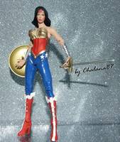 Injustice Wonder Woman (Wonder Woman) Custom Action Figure
