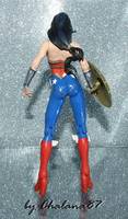 Injustice Wonder Woman (Wonder Woman) Custom Action Figure