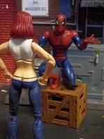 Mary Jane Watson (Parker) (Marvel Legends) Custom Action Figure