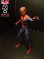 Amazing Spiderman Repaint (Spider-Man - Movie) Custom Action Figure