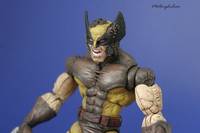 Wolverine Berserker Mode (Marvel Legends) Custom Action Figure