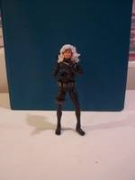 Silver Sable (Marvel Legends) Custom Action Figure