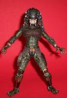 Nan-De than-Gaun (Arena Attire) (Predator) Custom Action Figure