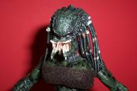 Nan-De than-Gaun (Arena Attire) (Predator) Custom Action Figure