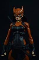 Young Justice Invasion Tigress a.K.a. Artemis (Young Justice) Custom Action Figure