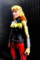 Young Justice Wonder Girl (Young Justice) Custom Action Figure