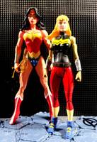 Young Justice Wonder Girl (Young Justice) Custom Action Figure