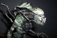 Nain Destintje-De (Alien vs Predator) Custom Action Figure