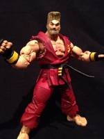 Tekken Paul Phoenix (Tekken) Custom Action Figure