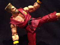 Tekken Paul Phoenix (Tekken) Custom Action Figure