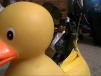 The Penguin - Duck Mobile (Batman) Custom Action Figure