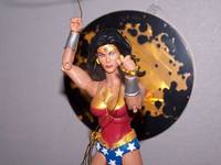 Wonder Woman (DC Universe) Custom Action Figure