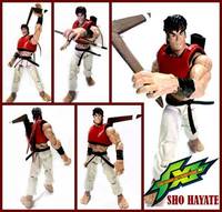 SNK- Sho Hayate (King of Fighters) Custom Action Figure