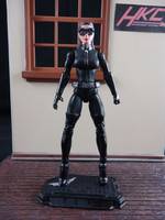 Catwoman V2 (the Dark Knight Rises Fully Articulated Figure) (Marvel Universe) Custom Action Figure