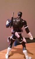 Punisher (DC Universe) Custom Action Figure