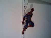 Amazing Spiderman (Spider-Man) Custom Action Figure
