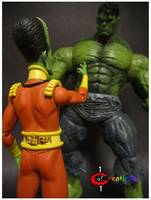 The Leader (Ole Jade Jaw) (Marvel) Custom Action Figure