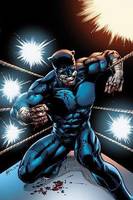 Wildcat (DC Infinite Heroes) Custom Action Figure