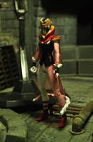 Queen (DC Universe) Custom Action Figure