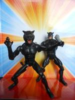 Tomcat (DC Universe) Custom Action Figure