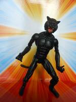 Tomcat (DC Universe) Custom Action Figure