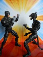 Tomcat (DC Universe) Custom Action Figure