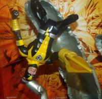 Sinestro Corps  Maser (Green Lantern) Custom Action Figure