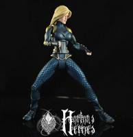 Black Canary (DC Universe) Custom Action Figure