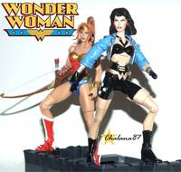 Wonder Woman in the 90's Diana Prince (Wonder Woman) Custom Action Figure
