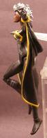 Mohawk Storm (Uncanny X-Force (Marvel Legends) Custom Action Figure