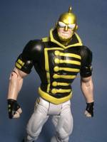 The Ray (DC Universe) Custom Action Figure