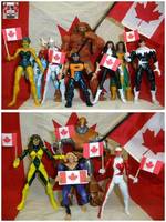 Alpha Flight (Marvel Legends) Custom Action Figure