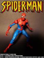 Spiderman! (Marvel Legends) Custom Action Figure