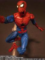 Spiderman! (Marvel Legends) Custom Action Figure