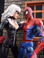 Black Cat (Terry Dodson Style) (Marvel Legends) Custom Action Figure