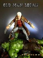 Old Man Logan Wolverine (Marvel Legends) Custom Action Figure