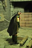 Earth 2 Robin(Helena Wayne) (DC Universe) Custom Action Figure