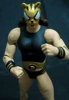 DC Pantha (DC Universe) Custom Action Figure