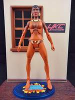 Vixen (Jlu Style) (DC Universe) Custom Action Figure