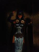 Raven Improved (DC Universe) Custom Action Figure
