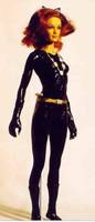 Julie Newmar Catwoman (Batman) Custom Action Figure