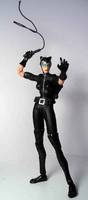 Cat-Woman (Batman) Custom Action Figure