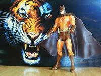 Catman (DC Superheroes) Custom Action Figure
